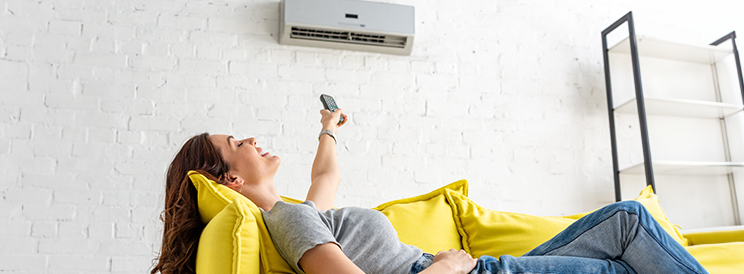 Ductless Systems